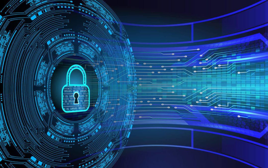 What You Need to Know About Cyber Insurance